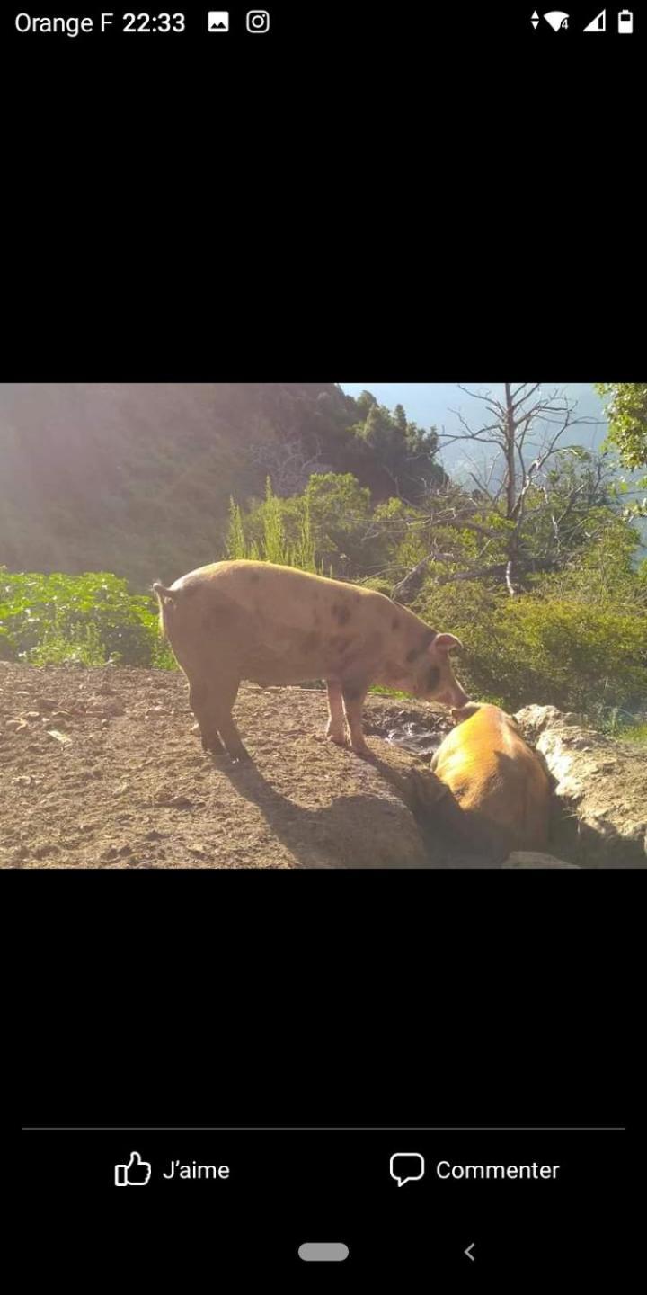 U Mulinu Daire Moita Dış mekan fotoğraf