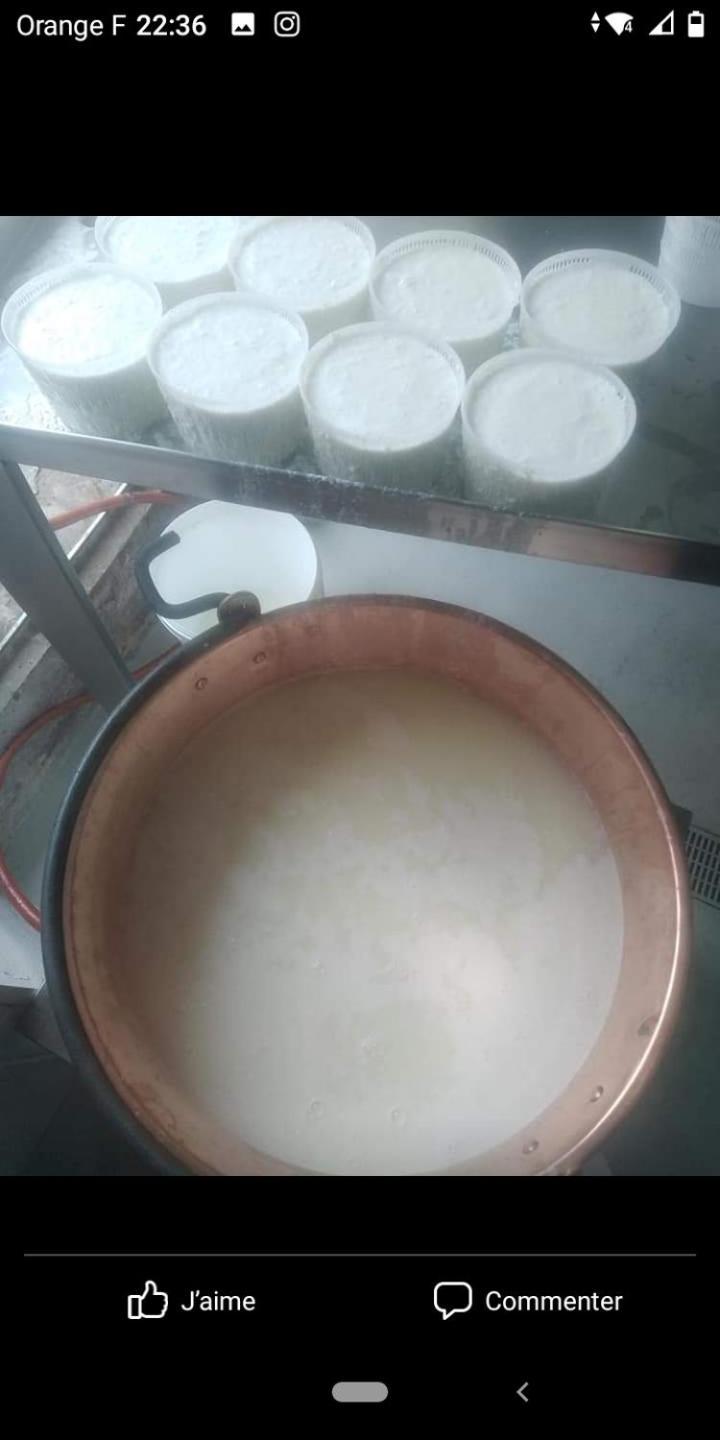 U Mulinu Daire Moita Dış mekan fotoğraf
