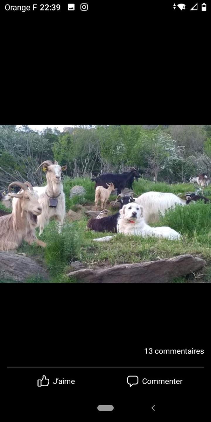 U Mulinu Daire Moita Dış mekan fotoğraf