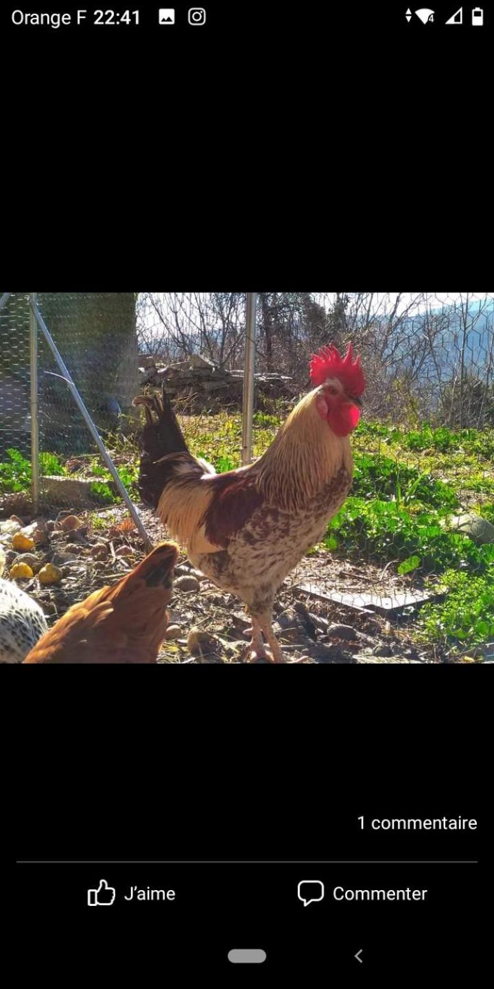 U Mulinu Daire Moita Dış mekan fotoğraf